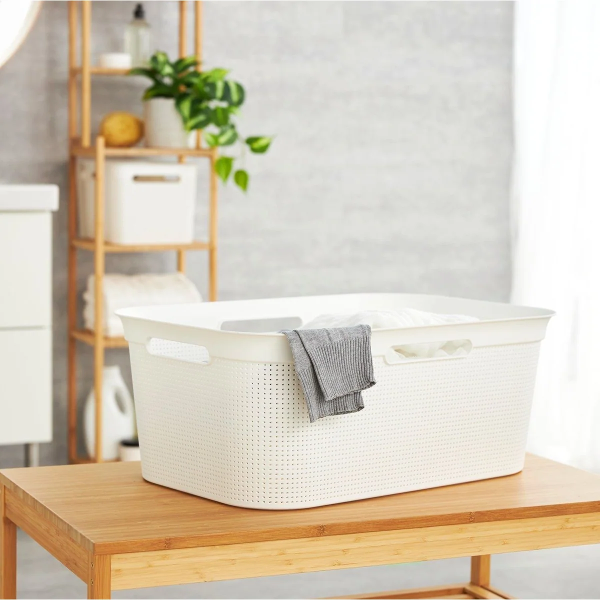 Rotho Brisen Wäschekorb, 40 l Volumen, leicht und platzsparend – ideal für jede Wäsche 5