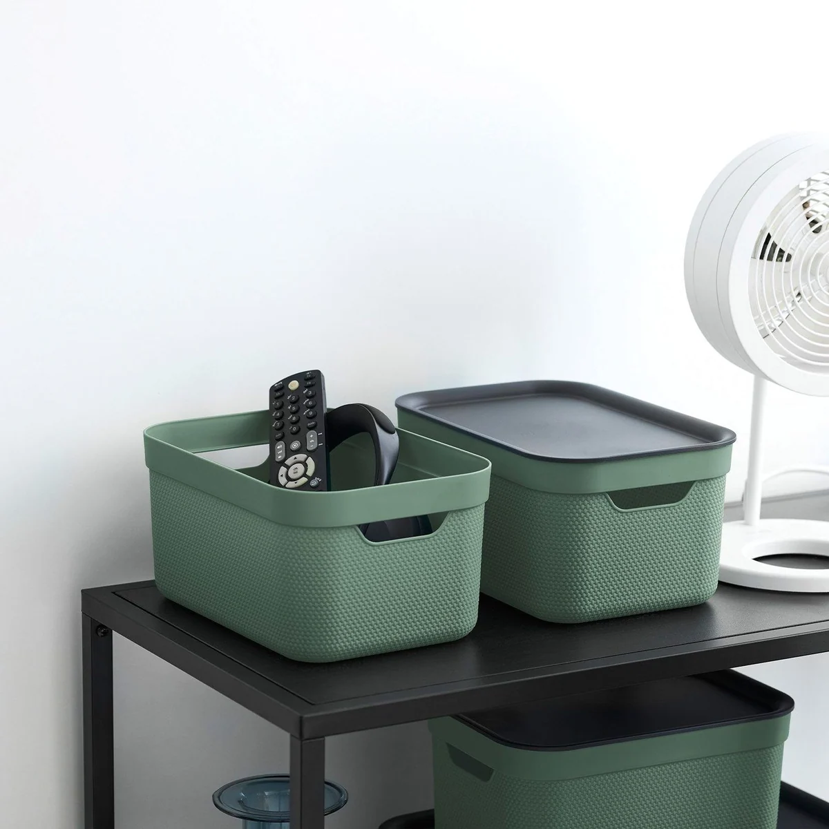 Rotho Jive Aufbewahrungsbox, stapelbar, 3er-Set, 5l — platzsparend, vielseitig, in frischen Farben 2