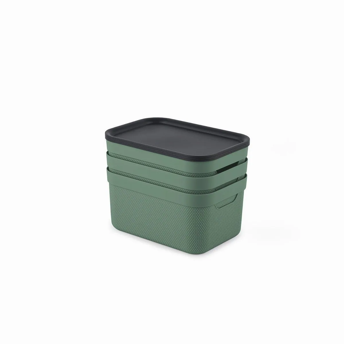 Rotho Jive Aufbewahrungsbox, stapelbar, 3er-Set, 5l — platzsparend, vielseitig, in frischen Farben 5