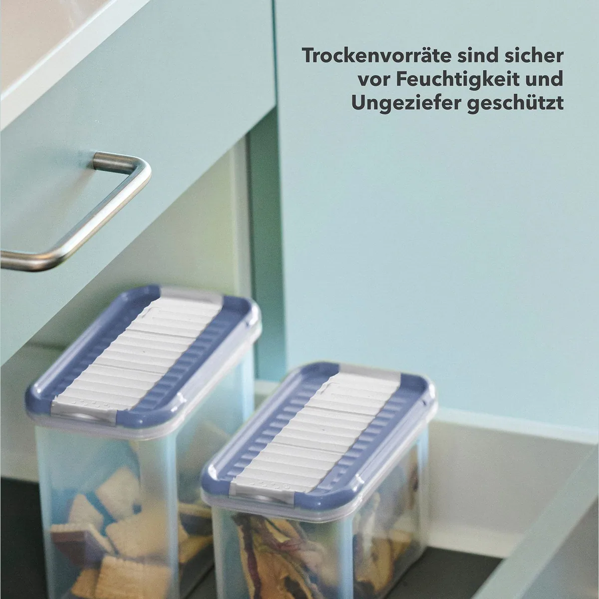 Rotho DOMINO Frischhaltedosen Set, 12-teilig, platzsparend und stapelbar 5