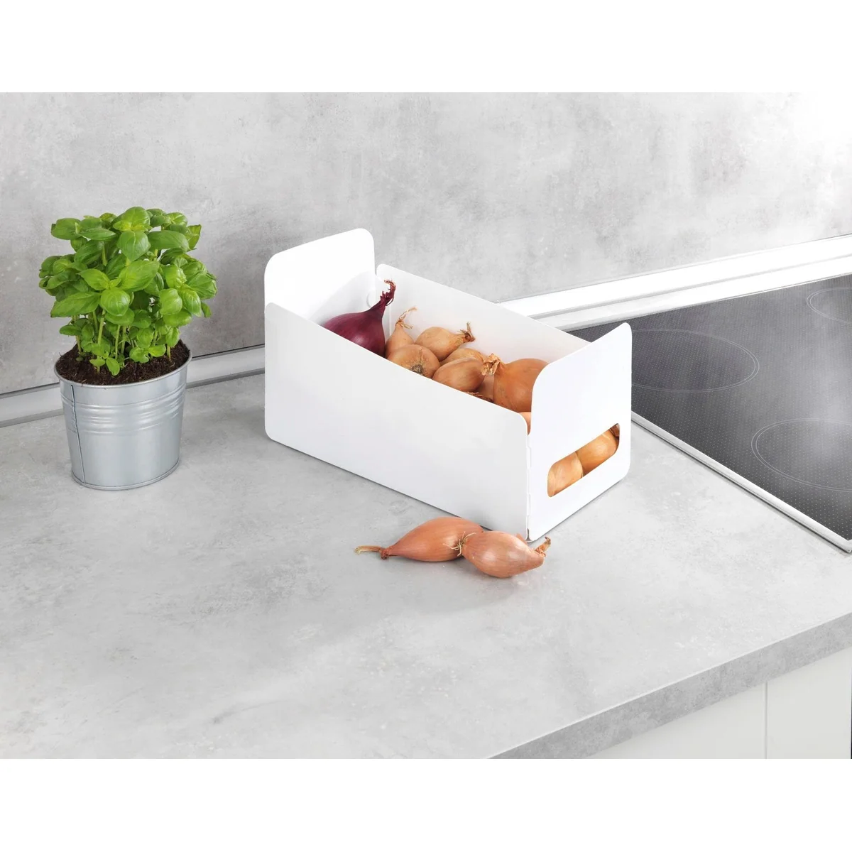 WENKO Organizer Universal Set, faltbar, aus hochwertigem Kunststoff, 6 Stück 5